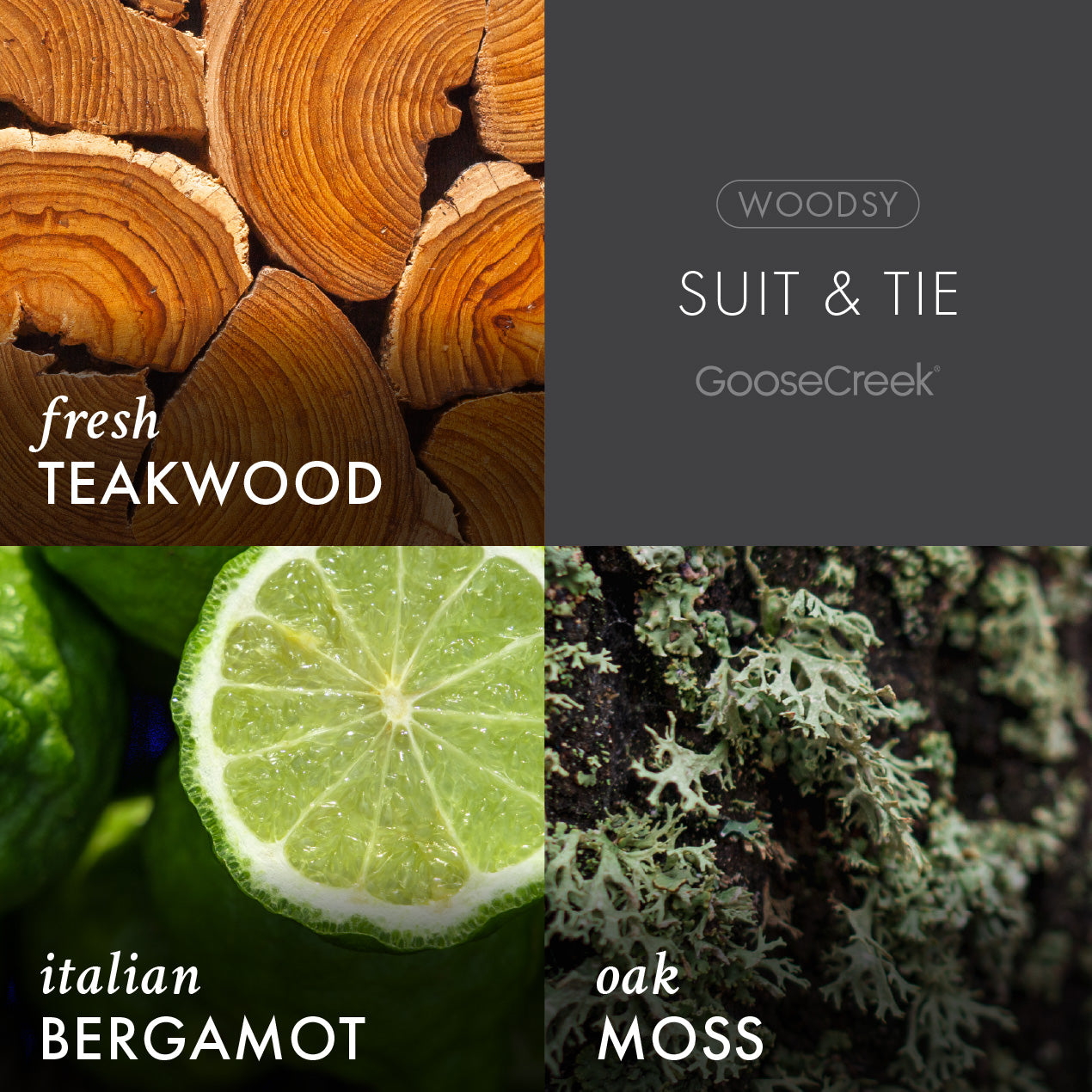 Suit & Tie Lush Foaming Hand Soap - Image 2